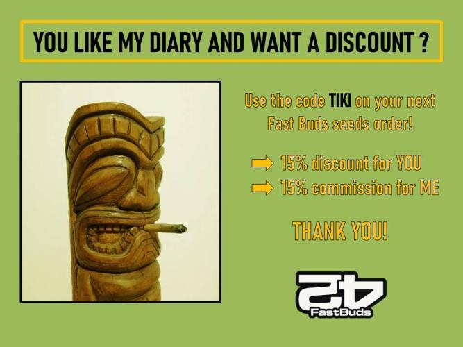 Δ Fast Buds Auto. Week 8