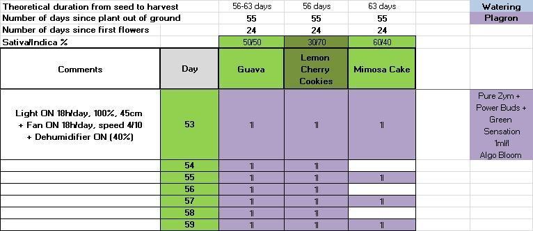 Δ Fast Buds Auto. Week 8