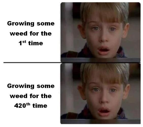 Δ Fast Buds Auto. Week 8 - Meme contest