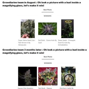 Comment by SmokingTiki photo #1