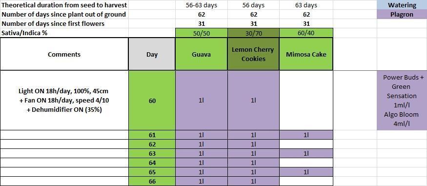 Δ Fast Buds Auto. Week 9