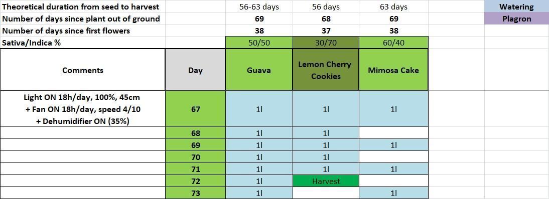 Δ Fast Buds Auto. Week 10