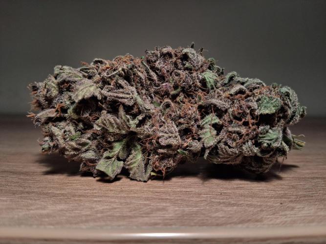 Δ Fast Buds Auto. Week 11 - D76