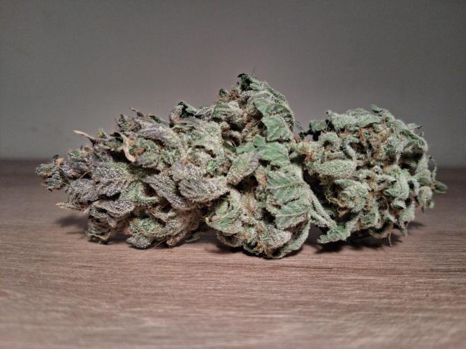 Δ Fast Buds Auto. Week 11 - D78