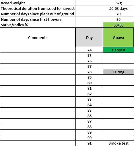 Δ Fast Buds Auto. Week 11