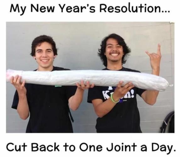 Δ Fast Buds Auto. Week 1