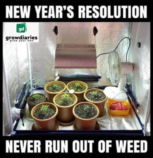 Δ Fast Buds Auto. Week 1