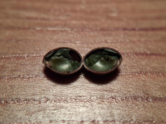 Thelma & Louise. Week 0 - Shell leftover