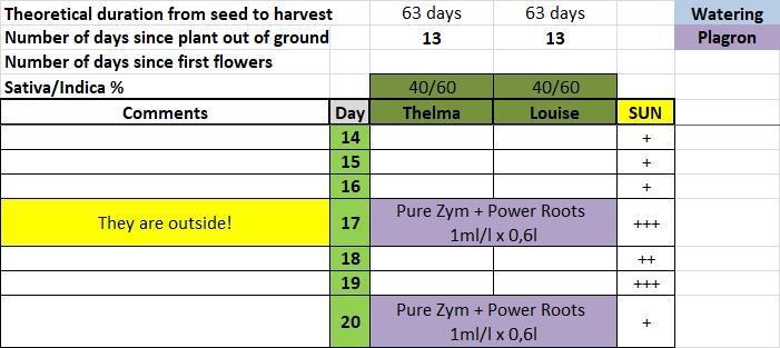 Thelma & Louise. Week 2