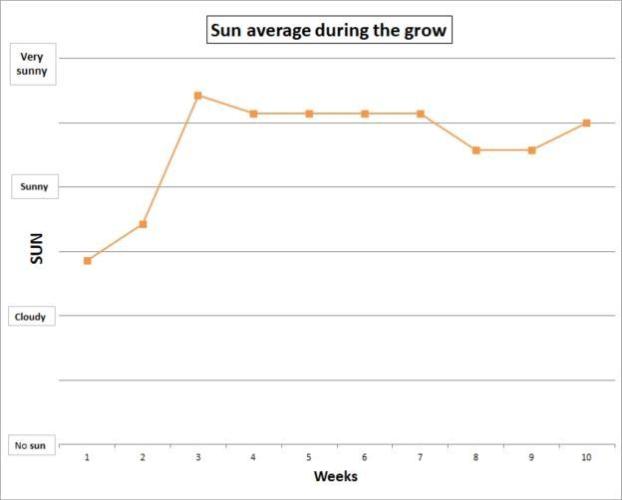 Thelma & Louise. Week 10 - Super weather!