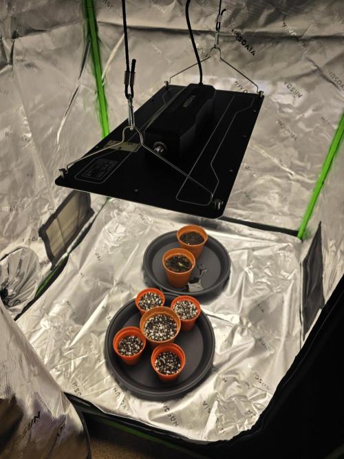 Akhet/Solaris - Anubis x SS [G6]. Week 0 - Setup Shot