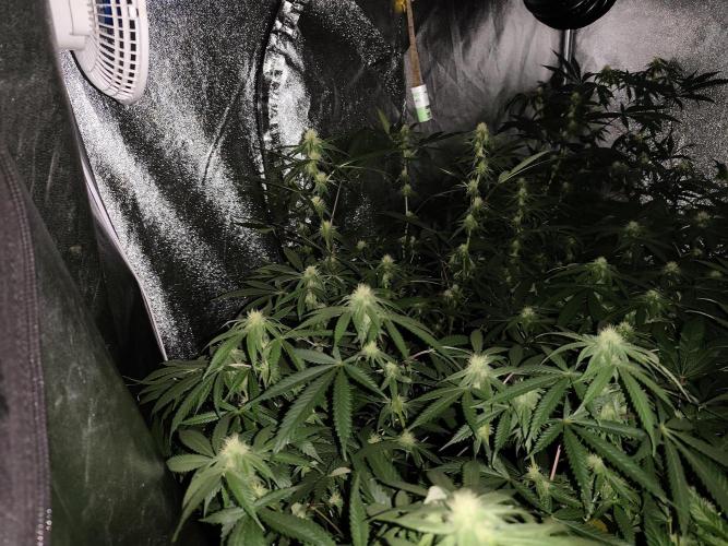 Red wine 🍷 X the Bird 🐦. Week 2