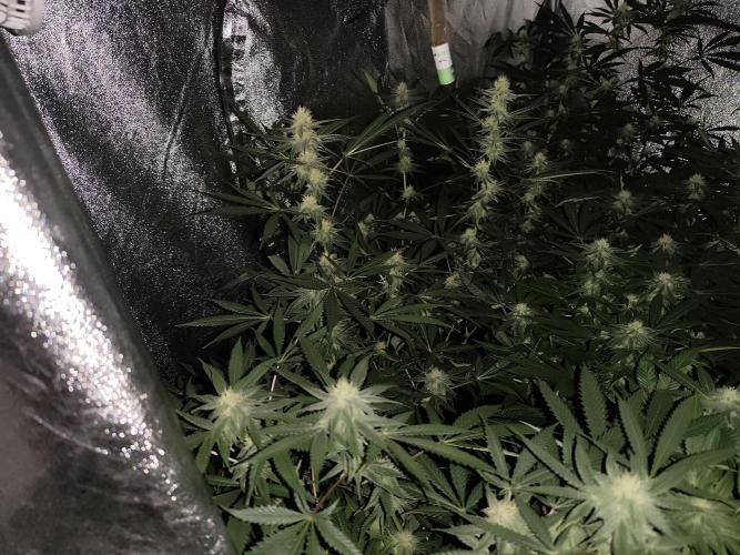 Red wine 🍷 X the Bird 🐦. Week 5