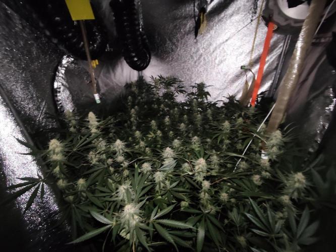 Red wine 🍷 X the Bird 🐦. Week 6