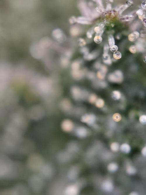 Red wine 🍷 X the Bird 🐦. Week 9