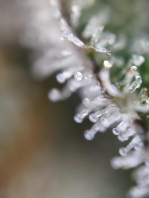 Red wine 🍷 X the Bird 🐦. Week 9