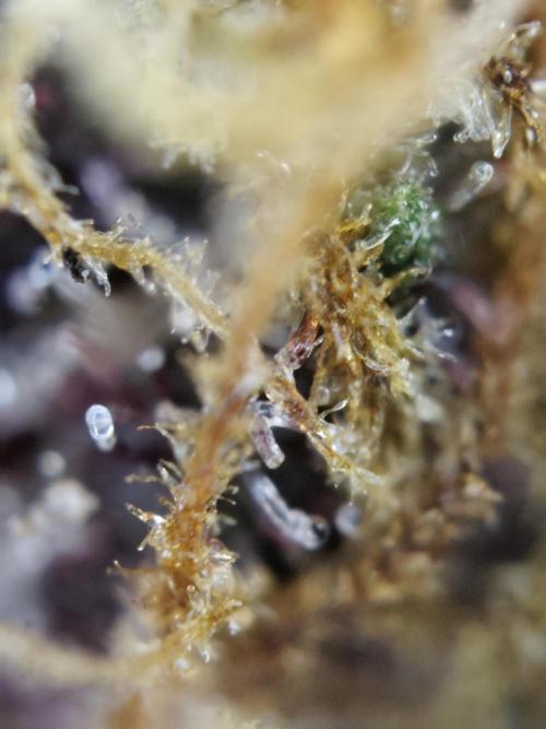 Red wine 🍷 X the Bird 🐦. Week 9