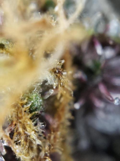 Red wine 🍷 X the Bird 🐦. Week 9