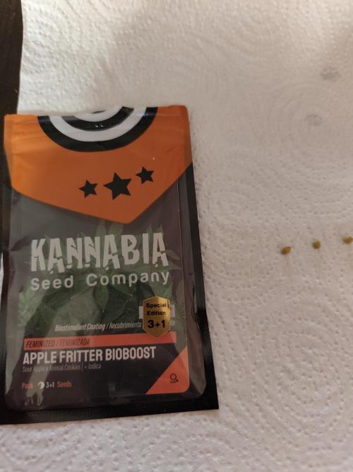 Kannabia seed - Appel Fritter Bio boost. Week 0