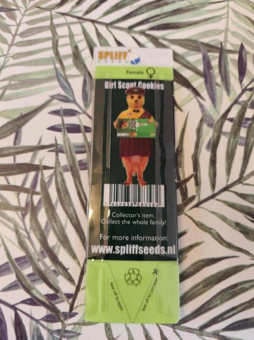 GSC spliff seeds 🌹❤️🍎🍅🍍🚀. Week 0