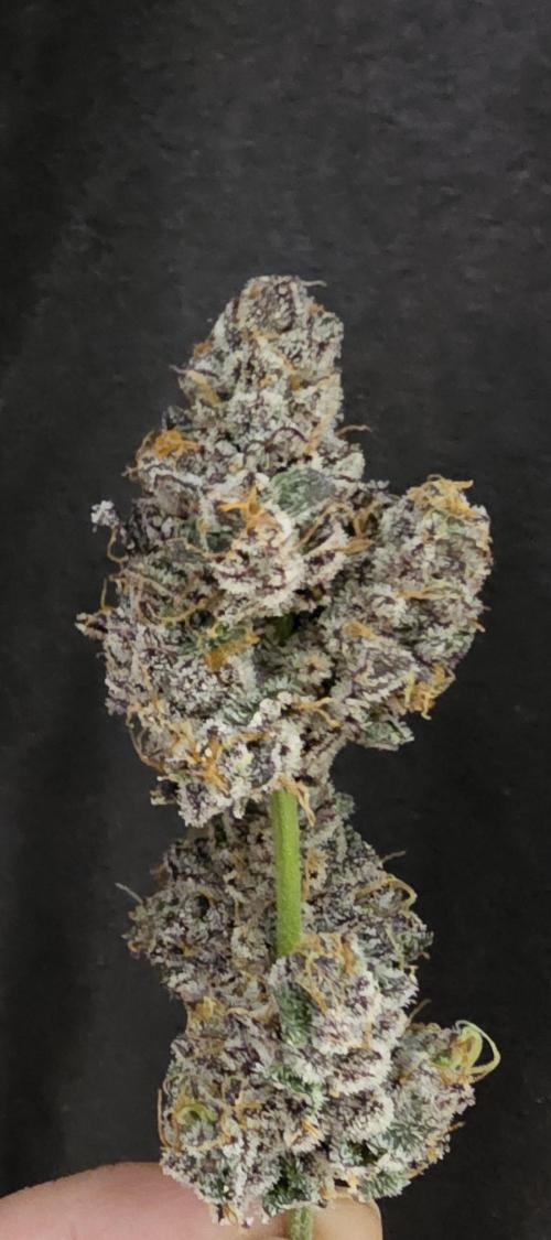 Birthday Cake Oreoz. Week 14