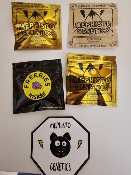 Mephisto's Gelauto #33. Week 0