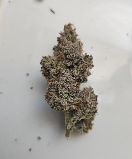 Birthday Cake Oreoz. Week 14