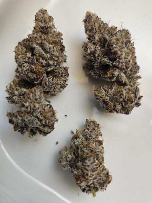 Birthday Cake Oreoz. Week 14