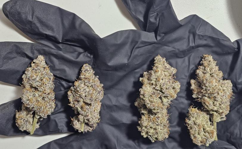 Birthday Cake Oreoz. Week 14