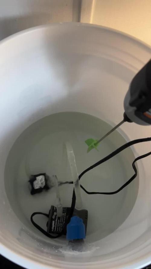 Chocolate Skunk (A, B, C)