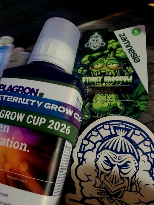 Sticky Broccolli-Eternity Grow Cup 2026. Week 0