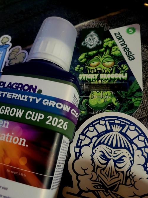Sticky Broccolli-Eternity Grow Cup 2026. Week 0