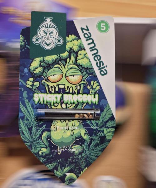 Sticky Broccoli - Žamnesia /Ecup 2026. Week 0