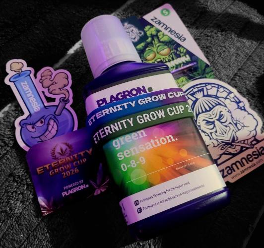 Sticky Broccoli - Žamnesia /Ecup 2026. Week 0