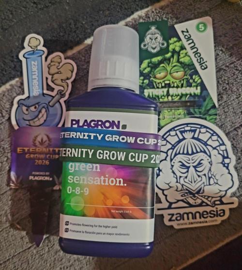 Sticky Broccoli - Žamnesia /Ecup 2026. Week 0