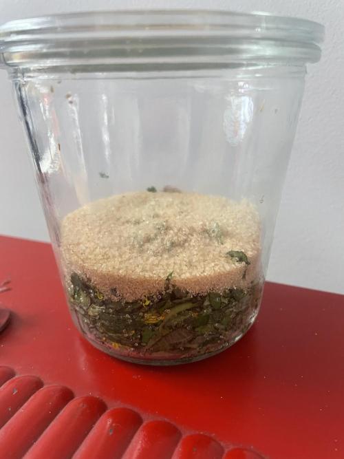 Korean Natural Farming (KNF) First Try. Week 2 - Chop and add sugar 