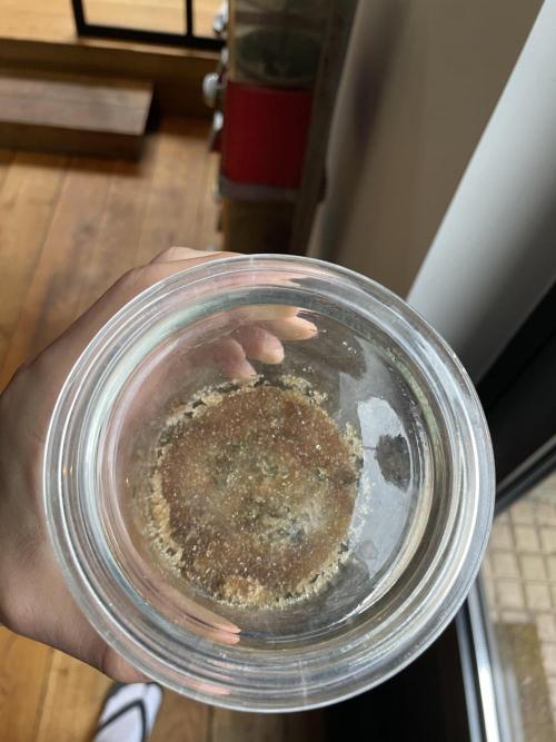 Korean Natural Farming (KNF) First Try. Week 2