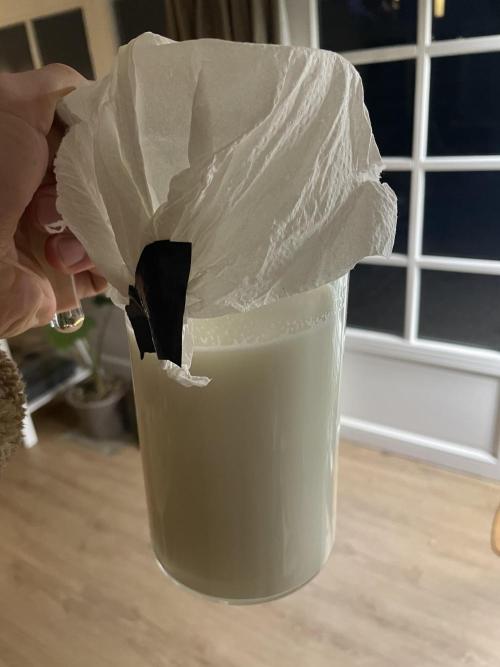 Korean Natural Farming (KNF) First Try. Week 1 - 3)Mix with complete Milk