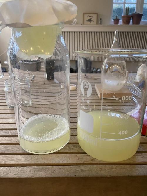 Korean Natural Farming (KNF) First Try. Week 1 - 5) Filter your solution