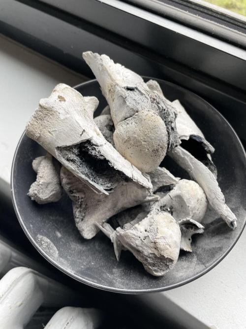 Korean Natural Farming (KNF) First Try. Week 6 - 2) perfectly Cooked