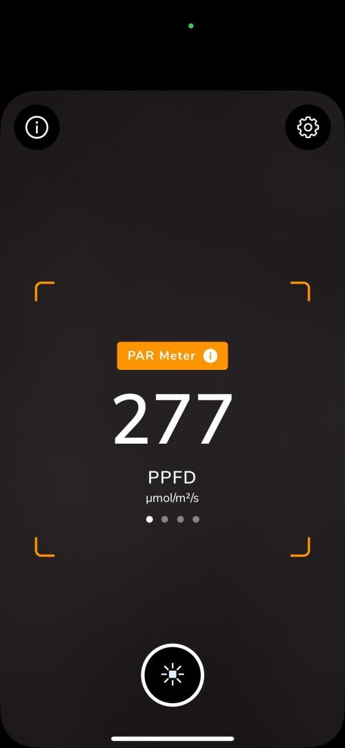 Apple Fritter Fritz. Week 2