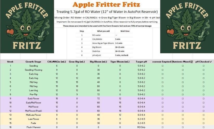 Apple Fritter Fritz. Week 4