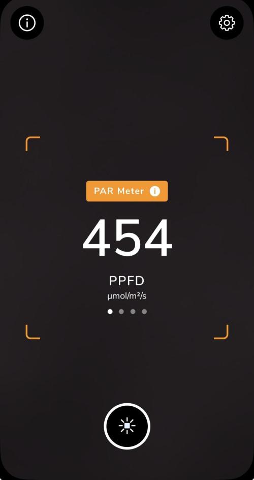 Apple Fritter Fritz. Week 6 - Top of the plant canopy measurement