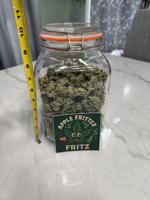 Apple Fritter Fritz. Week 17