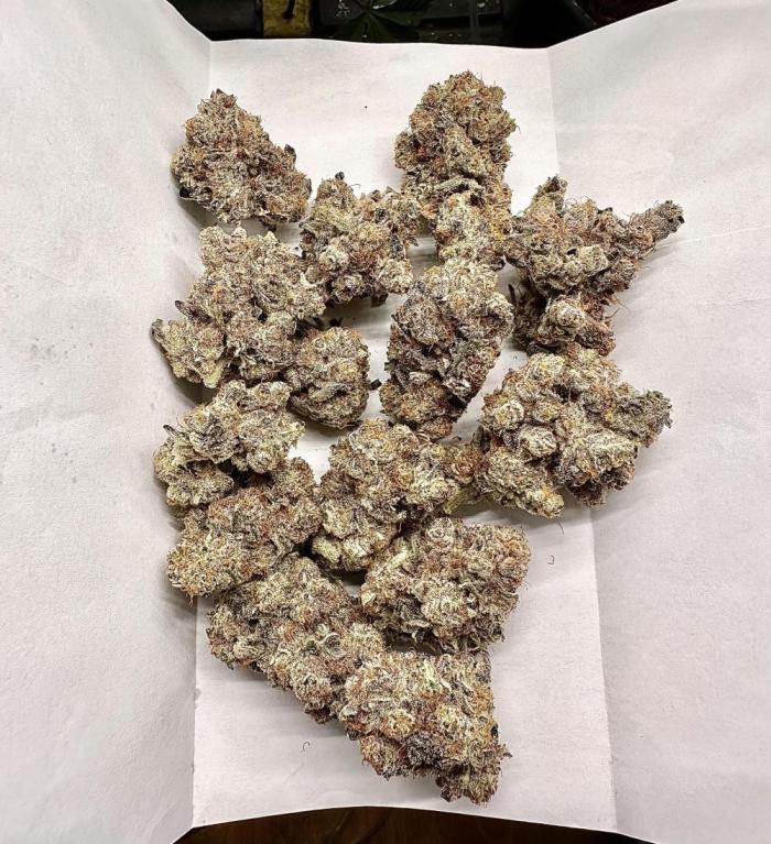 B-45 and biscotti mintz. Week 10