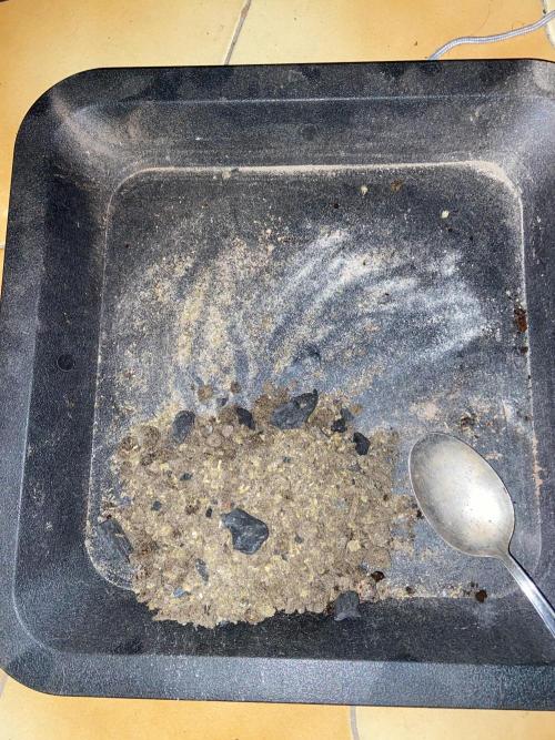 Bubble Gum 🍬 Sweet Green Evolution. Week 10