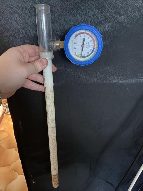 Fruity Durban | Living Soil Test. Week 0