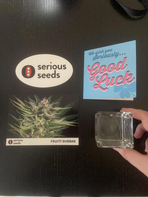 Fruity Durban | Living Soil Test. Week 0