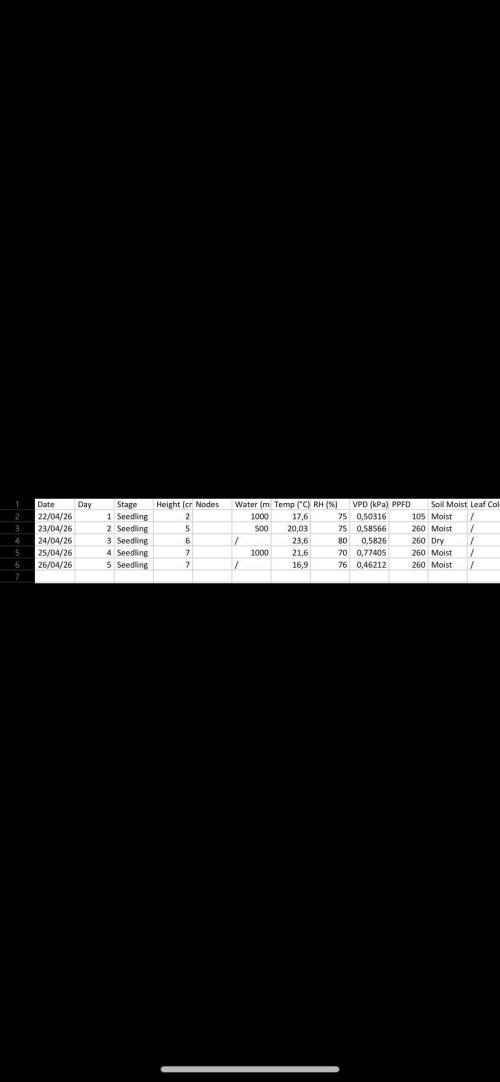 Fruity Durban | Living Soil Test. Week 1