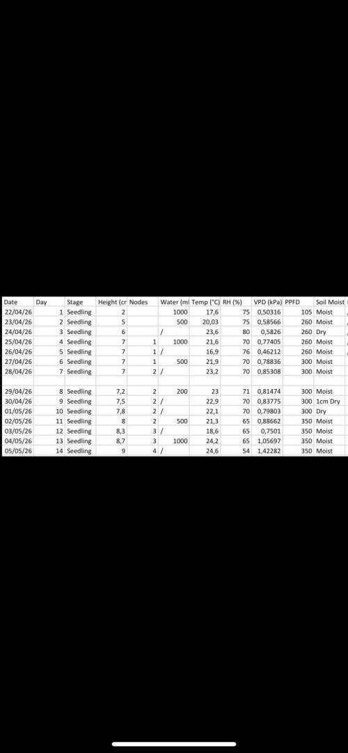 Fruity Durban | Living Soil Test. Week 2